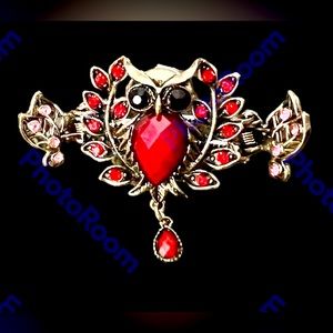 🌷Host pick🌷 OWL HAIR CLASP WITH DANGLE NWT